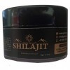 Global Ayucare Shilajit 10 gm