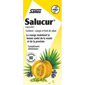 Salus Salucur® - Santé Urinaire - Graines de Courge, Écorce de Cannelle, Extraits Naturels de Plantes - 90 comprimés