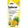 Salus Salucur® - Santé Urinaire - Graines de Courge, Écorce de Cannelle, Extraits Naturels de Plantes - 90 comprimés