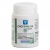 Ergyphilus Confort Nutergia 60 capsules