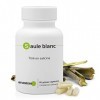 SAULE BLANC * 160 mg / 90 gélules * Titré en salicine 25%