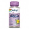 Solaray Tribulus 450mg | Extrait de Fruit | à 40% de Saponines | 60 vegcaps