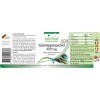 Fairvital | Extrait de moules aux orles vert Fortement dosé - 120 capsules - avec le gingembre, le yucca et Vitamine E