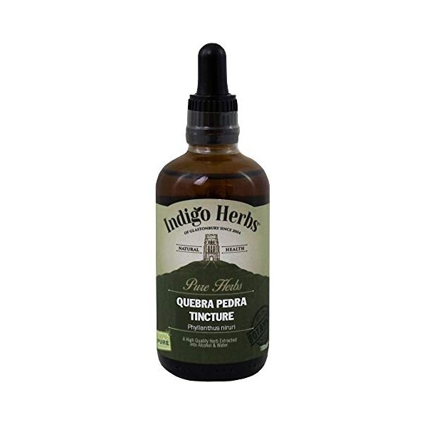 Indigo Herbs Teinture de Quebra Pedra - Chanca Piedra 100ml