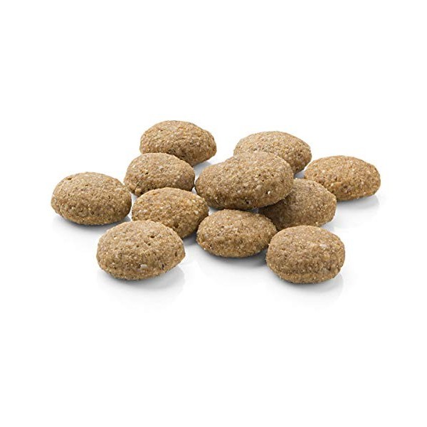 MERA Pure Sensitive Croquettes aux Protéines d’insectes, pour Chiens Sensibless, hypoallergénique et écologique, aliment mono