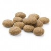 MERA Pure Sensitive Croquettes aux Protéines d’insectes, pour Chiens Sensibless, hypoallergénique et écologique, aliment mono