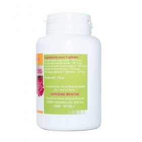 Complexe JAMBES LOURDES 250 mg 240 gélules
