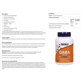 GABA 500mg | Récupération et soutien hormonal | Neurotransmetteur | Détente | Convient aux végétariens et végétaliens 100 gé