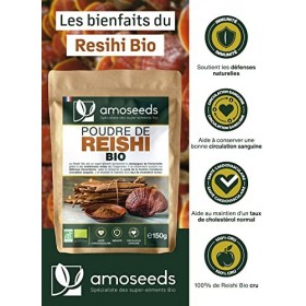Reishi en Poudre Bio 150g 