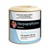 Laboratoire INSPHY - Complément Alimentaire Harpagophytum – Confort articulaire et mobilité