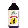 Dr. Patkars Blackstrap Molasses 600 Gram 