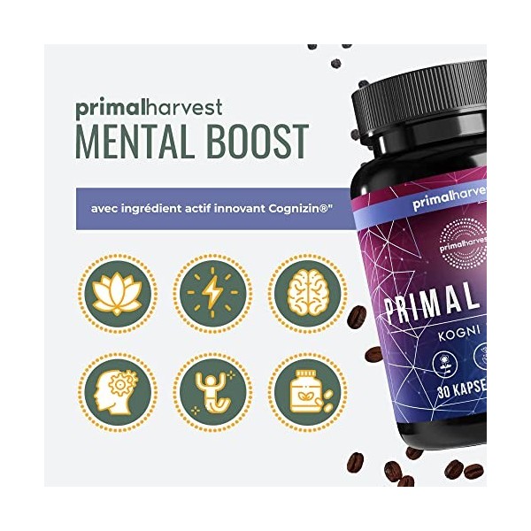 Kogni Boost Primal Harvest - 30 gélules nootropiques - Stimulant cerveau et concentration - Soutien naturel des fonctions cér