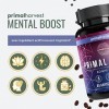 Kogni Boost Primal Harvest - 30 gélules nootropiques - Stimulant cerveau et concentration - Soutien naturel des fonctions cér