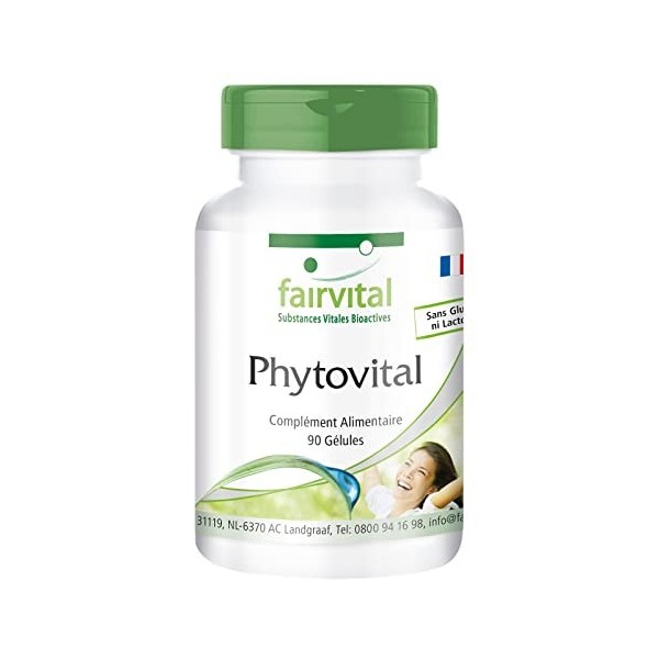 Fairvital | PhytoVital VEGAN - Fortement dosé - 90 capsules - plante de qualité extrait - multivitamine naturel