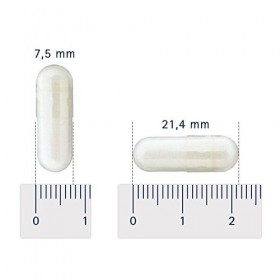 PEA Naturel Palmitoyléthanolamide micronisé de qualité supérieure - 90 gélules végétales dosage pour 1 mois fabriqué dans l