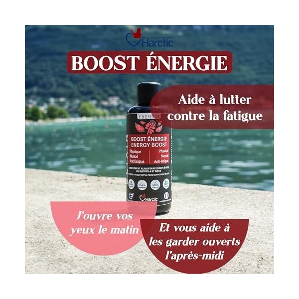 Harctic - Elixir Boost Energie - Complément Alimentaire - 100% Naturel, Idéal pour le Stress, les Étudiants et les Athlètes, 