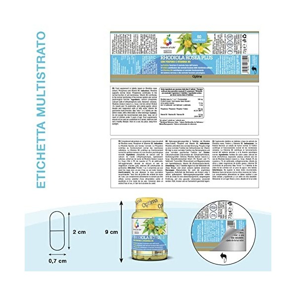 Colours of Life Rhodiola Rosea Plus - Supplément de rhodiole - pour une humeur normale - sans gluten et végétalien, 60 compri