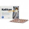 Lot de 40 gélules Keltican Forte