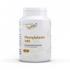 Vita World Pack de 3 L-Phénylalanine 500mg 3 x 120 Capsules Made in Germany