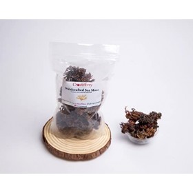 Seamoss Dr Sebi Mousse irlandaise de qualité sauvage Violet