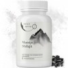 Extrait pur de Shilajit 120 capsules | +2 mois | Source himalayenne hautement potente avec acide fulvique | acide humique et 