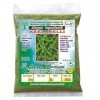 QURA Keelanelli Poudre/Bhumyamalaki/Phyllanthus Niruri Poudre 100 g