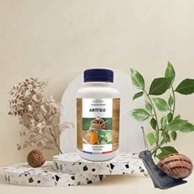 Floralpina - Arti Go 120 gélules - maintenir une bonne mobilité des articulations - alliance unique de 4 plantes et de bave d