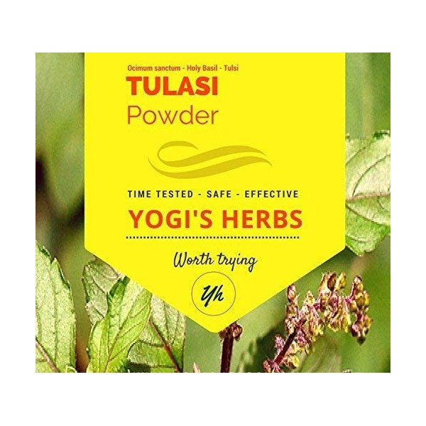 QURA Tulasi Poudre fraîche et pure 100 g