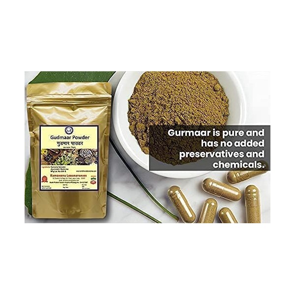 QURA Laboratories Poudre de gurmaar 100 g