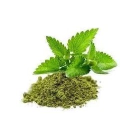 AOZA Tulsi Ocimum Sanctum/Basilic sacré Poudre pure 500 g