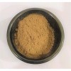 Verem Kutki Powder Katuki Powder-Picrorhiza Kurroa-Hellabore 50 g 