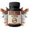 AOZA Dharishah Ayurveda Lipipro pour réguler le taux de cholestérol 30 capsules 