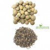 Verem Poudre de graines de Sivalingi et Putrajivak 50 g chacun , poudre de Putrajeevak et Shivlingi Beej, Putrijivak, Putr J