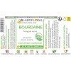 Bourdaine Labofloral 500 gélules dosées à 250 mg - Complément alimentaire - Laxatif naturel, constipation - Fabriqué en franc