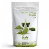 Holy Natural Wheat Grass Powder 100g