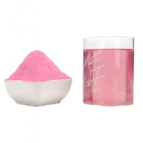 WonderLand Herbs Poudre de fruits à lextrait de myrtille, instantanée 1 000,7 g.