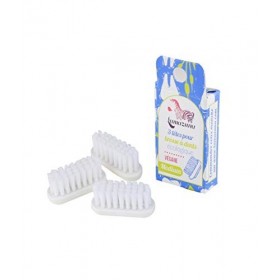Recharge De 3 Tetes Brosses A Dents Medium Lamazuna