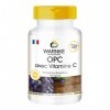 OPC 60 mg - 100 gélules - Végétarien - Avec vitamine C - 200 mg dextrait de peau de raisin | Warnke Vitalstoffe