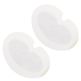 Healeved 2 Pièces Patch De Poitrine DAbsinthe Pasties De Poitrine Autocollant De Vertèbre Cervicale Patchs DAbsinthe Coussi