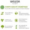 WELEDA - Jus dArgousier - Complément Alimentaire Riche en Vitamine C - Fortifie lOrganisme - Flacon 250 ml