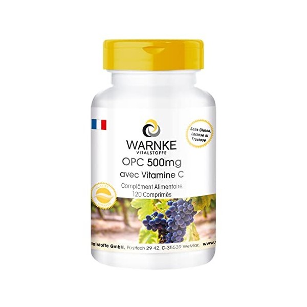 OPC 500 mg - dextrait de pépins de raisin avec 500mg OPC & 100mg Vitamine C - hautement dosé - végétalien - 120 comprimés | 