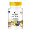 OPC 500 mg - dextrait de pépins de raisin avec 500mg OPC & 100mg Vitamine C - hautement dosé - végétalien - 120 comprimés | 