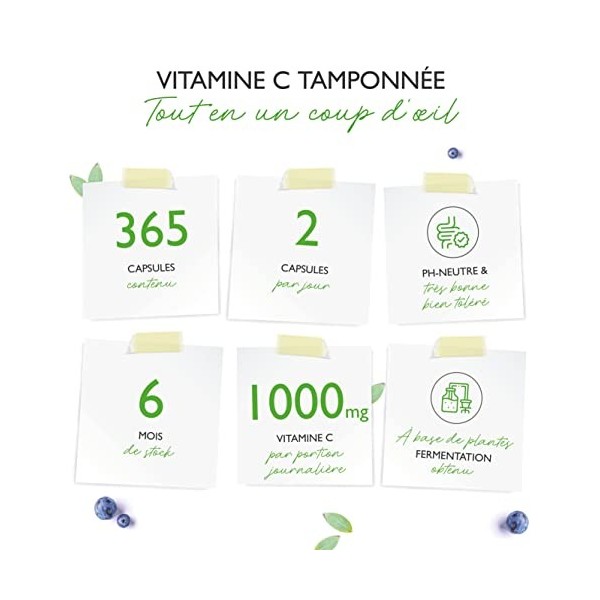 Vitamine C tamponnée - 365 gélules - hautement dosée avec 1000mg de vitamine C par dose journalière - issue de la fermentatio