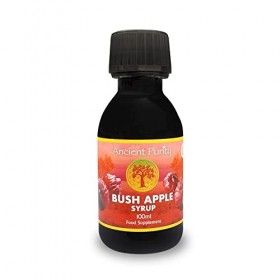 Sirop de pomme Bush – 100 ml