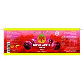 Sirop de pomme Bush – 100 ml