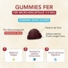 mium LAB - Complément Alimentaire Fer - Fatigue & Immunité - Cure de 21 Jours - Sans sucre - 100% Français - Gummies Goût Fru