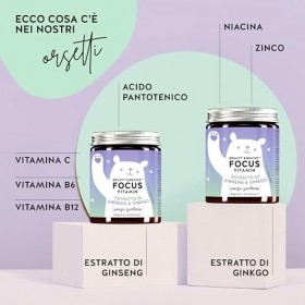 Pour une Concentràion Boostée et une Bonne Forme Mentale - avec Gingko Biloba et Ginseng, Vitamines B6, B12 et Zinc - Approvi