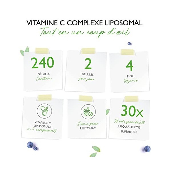 Vitamine C liposomale - 240 gélules végétaliennes - Premium : hautement dosé avec 1000mg de vitamine pure par jour - biodispo