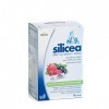 Dimefar Silicia Direct + Biotine + Selenio 15 Sticks - 1 unité