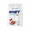 All Nutrition Supplément de Protéines de Lait Ultra Whey Pudding Chocolat Blanc